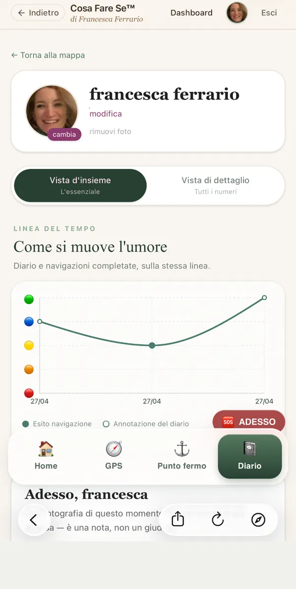 Schermata 7: Diario & progressi